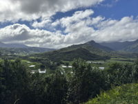 Princeville’s sweeping fields of taro.