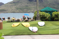 Colorful surfboards lined up on the shore in Kauai.