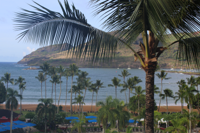 Scenic vantage of Marriot Resort and Spa’s courtyard in Lihue.